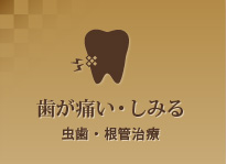 歯が痛い・しみる虫歯・根管治療